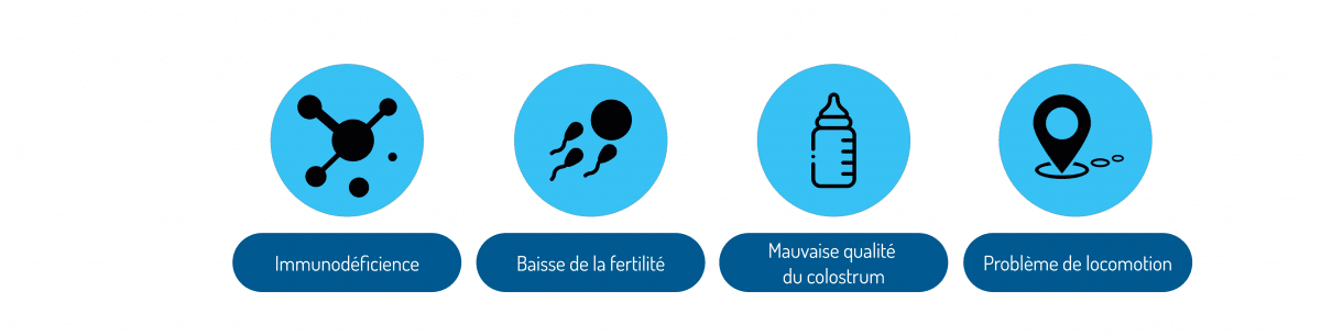 Conséquences des carences ou d'un excès en oligo-éléments