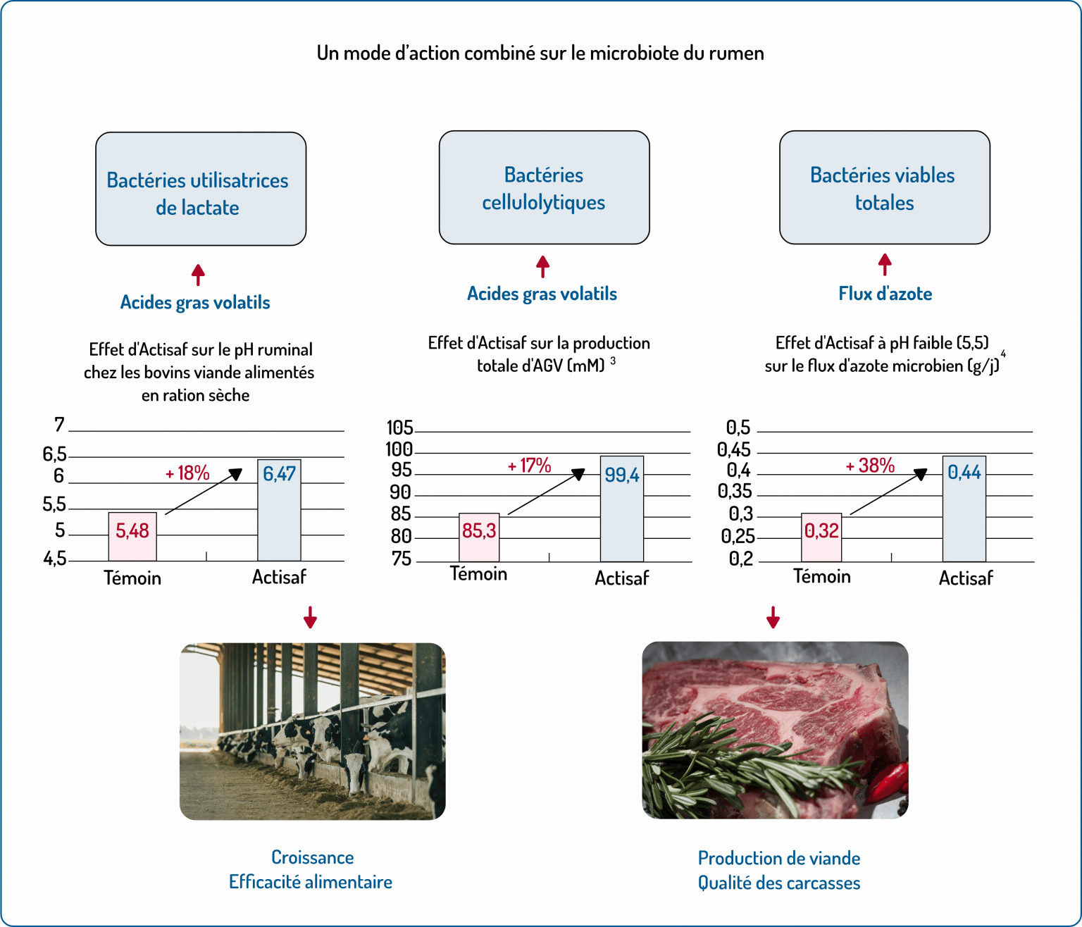 Los efectos de las levaduras vivas sobre los rendimientos del rebaño y ...