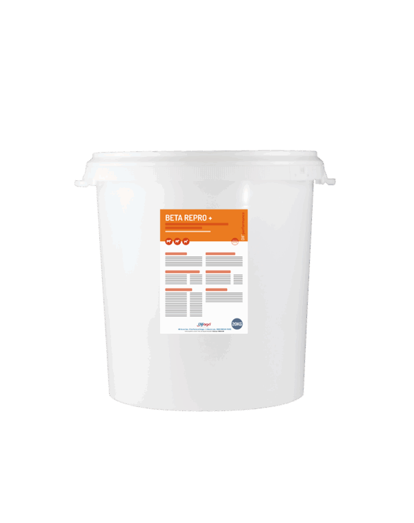 BETA REPRO + 20 kg
