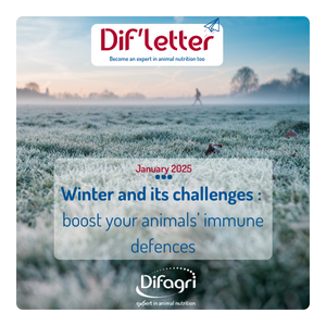 Vignette newsletter january 2025