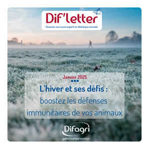 Vignettes site internet newsletter 1