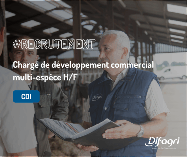 Offre - Stage